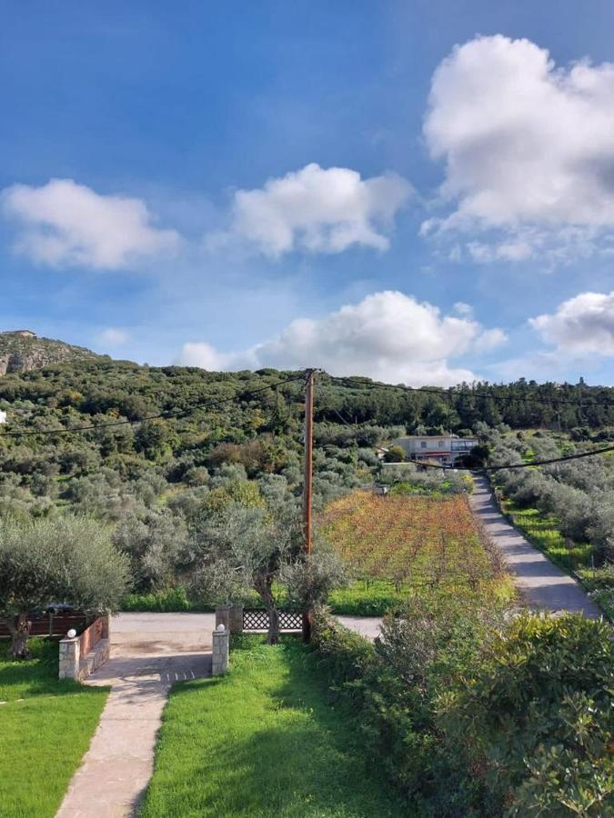 Mati- Cozy Apartment- Close To The Of Almyrida With A Shared Pool * La Canée